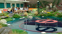 Duck Ball Veto Competition Big Brother 4
